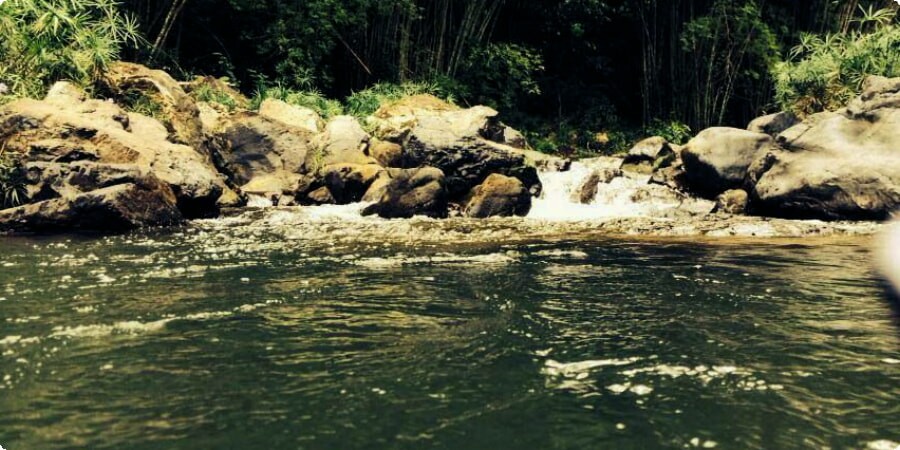 Best Spots for Tranquility in Mayagüez