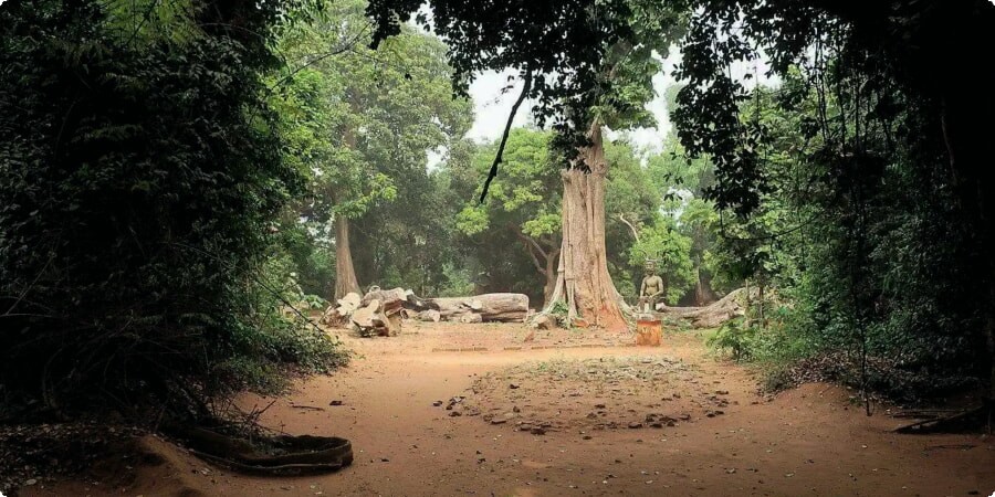 Ivory Coast's Coastal Wonders