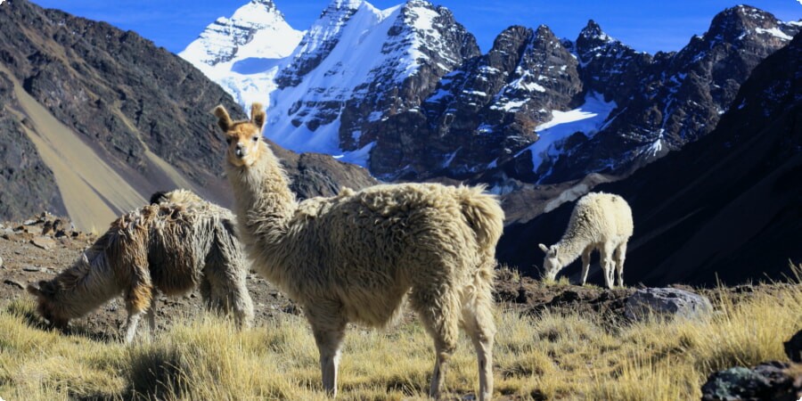 Breathtaking Bolivia