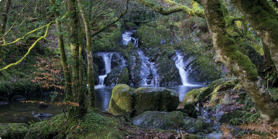 Ireland's Natural Wonders