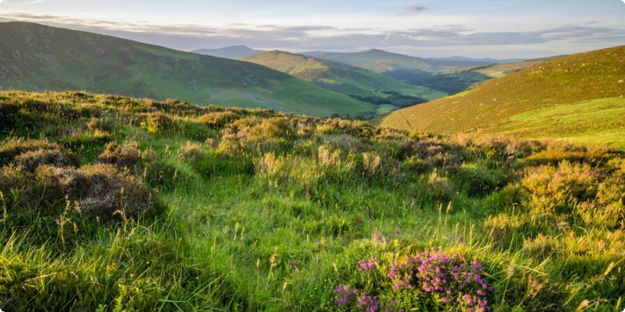 Ireland's Natural Wonders