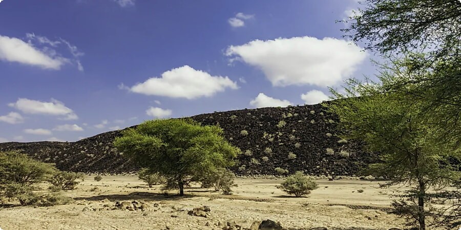 Djibouti Drive