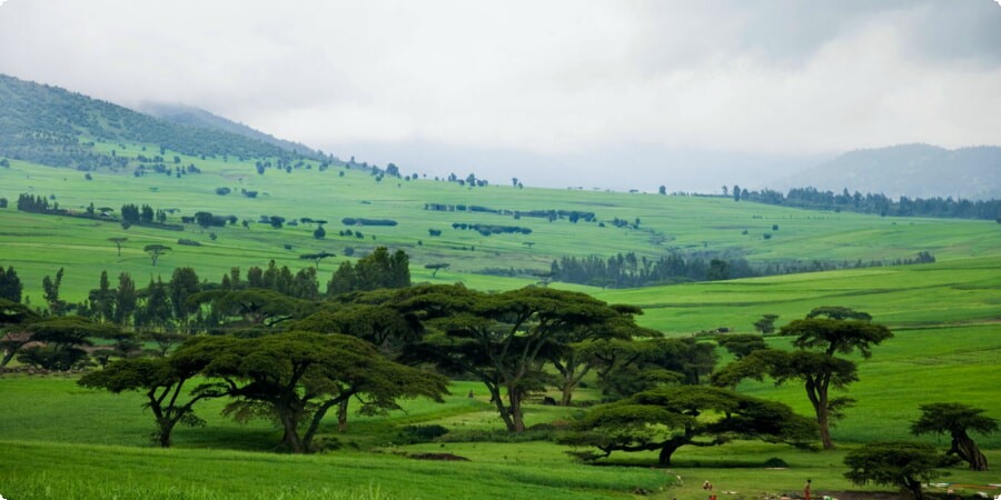 Winding Through Ethiopia