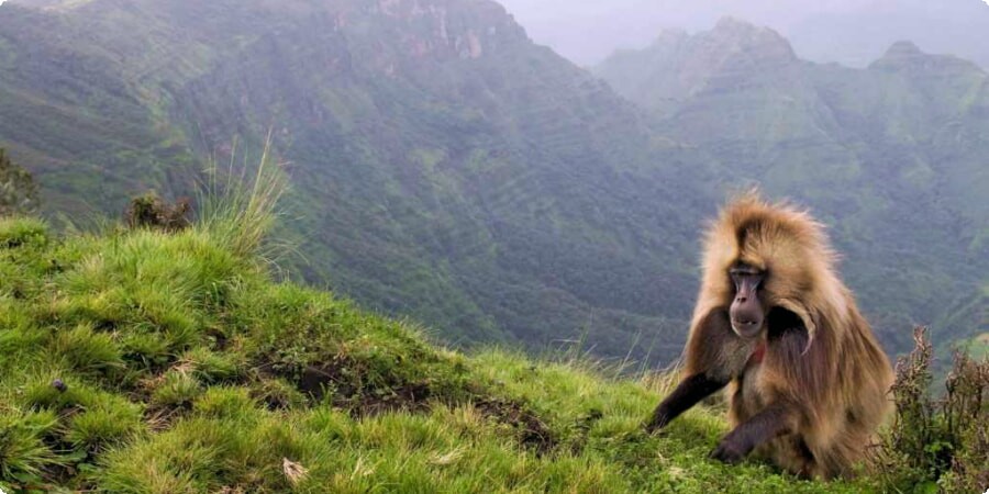 Winding Through Ethiopia