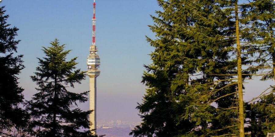 Scenic Drives and Must-See Stops Near Belgrade