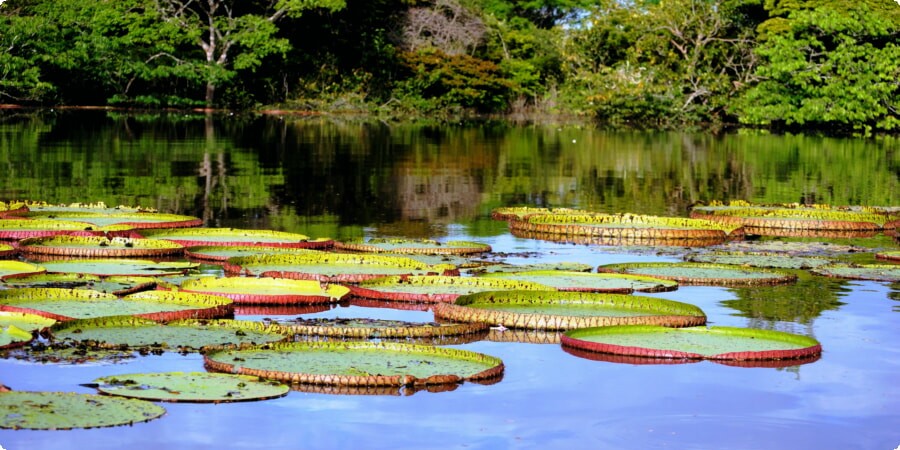 Guyana Road Trip Planner