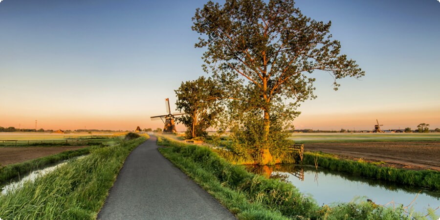 Road Tripping the Netherlands