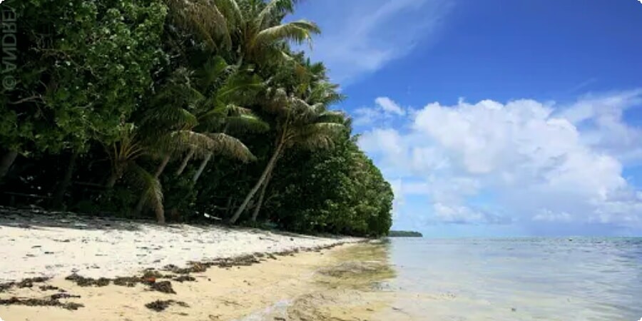 Driving Around Palau