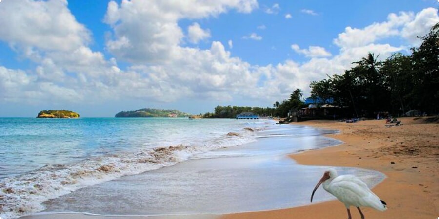 Saint Lucia's Top Attractions