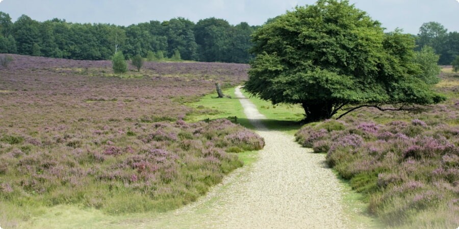 Scenic Drives Near Utrecht