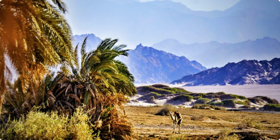 Driving Around Sharm el-Sheikh