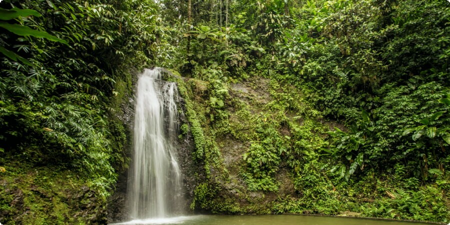 Martinique by Road