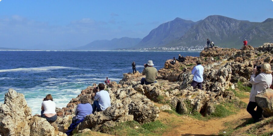 From Cape Town Airport to Adventure