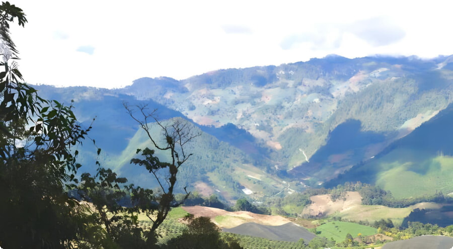 El Biotopo del Quetzal