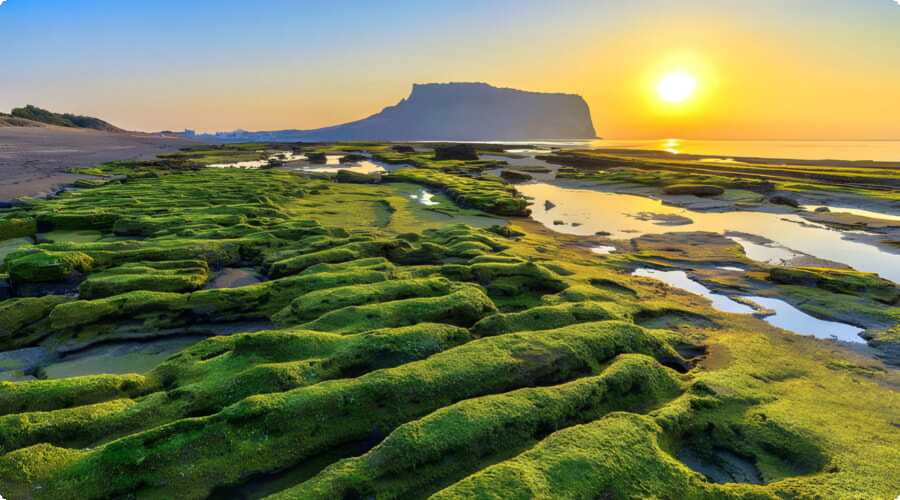 Jeju'da gün batımı