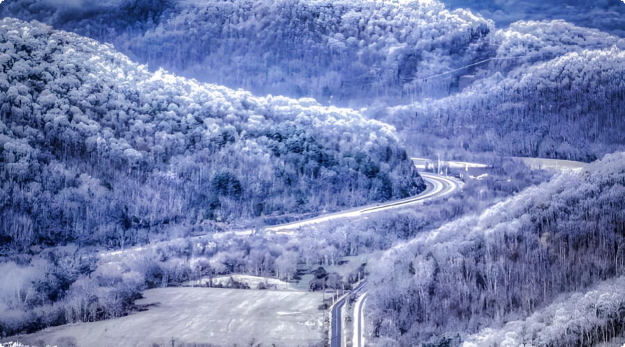 Kentucky-winter