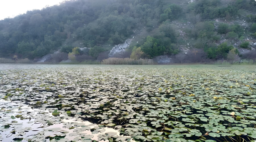 Lake Skadar nationalpark
