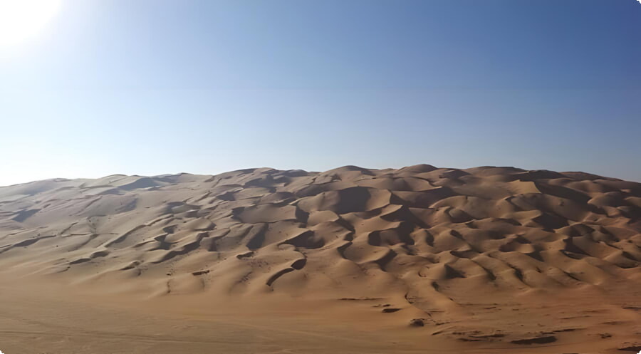 리와 사막